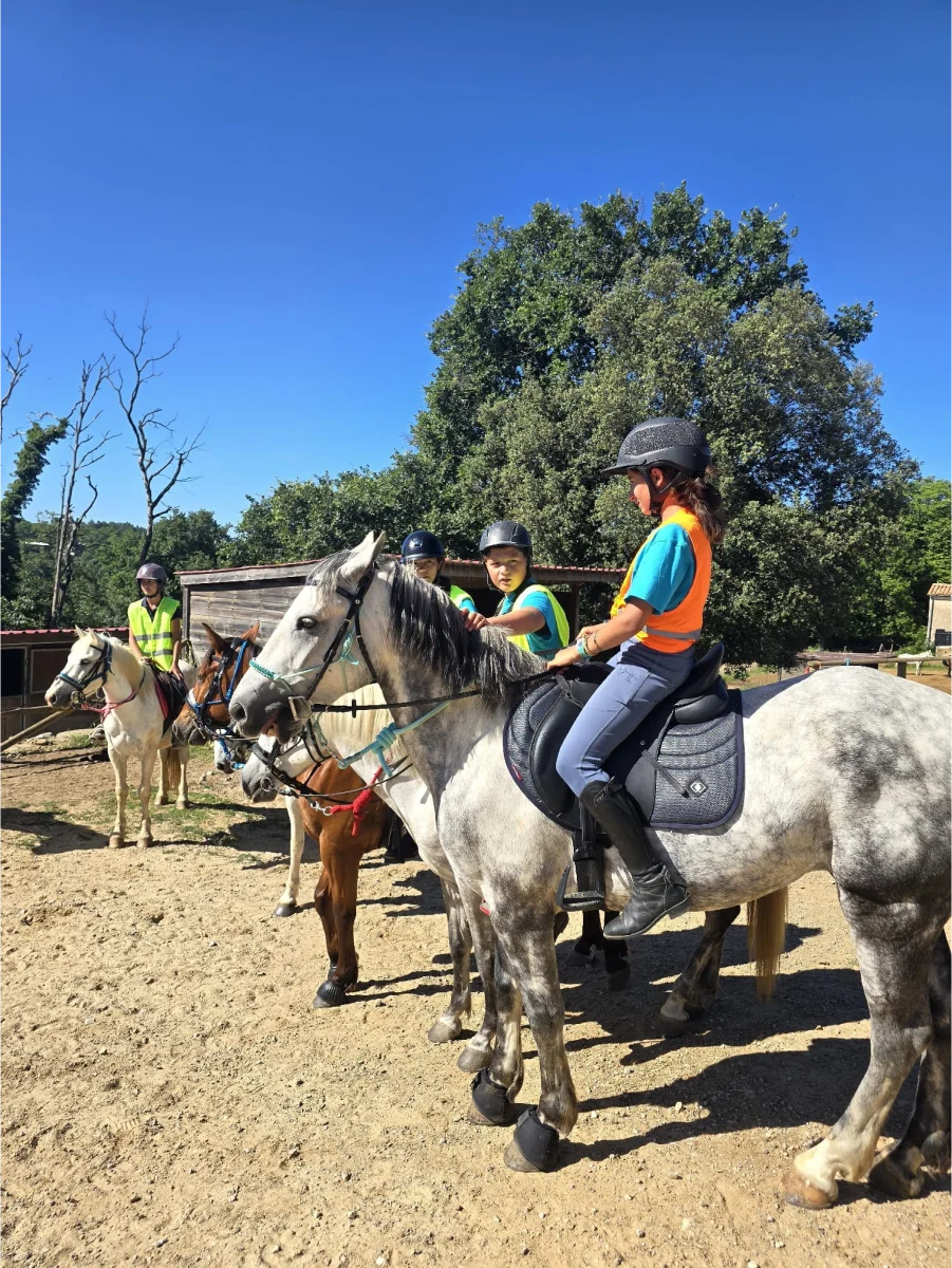 Ecurie Du Vieux Mas Stage D Equitation Saint Gilles Stage Dequitation 2