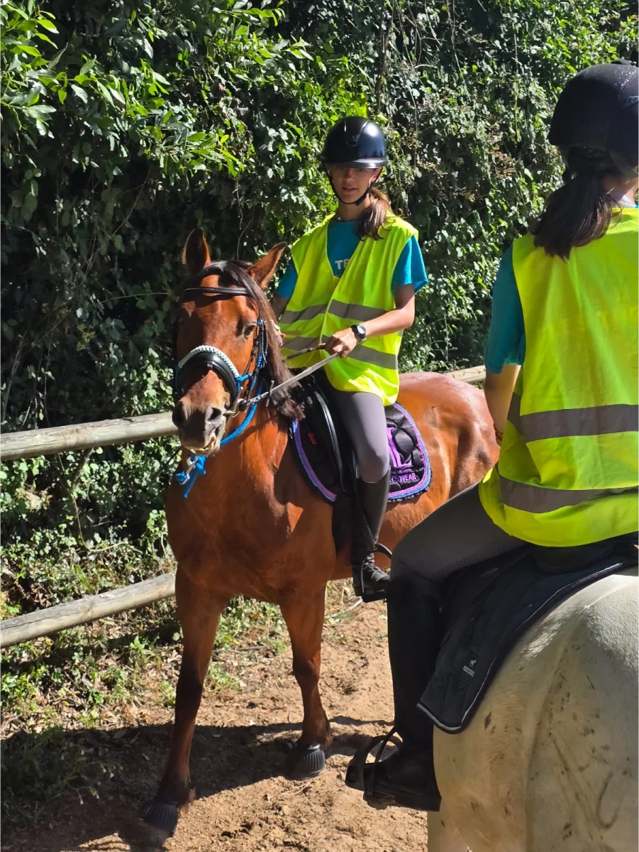 Ecurie Du Vieux Mas Stage D Equitation Saint Gilles Stage Dequitation 3