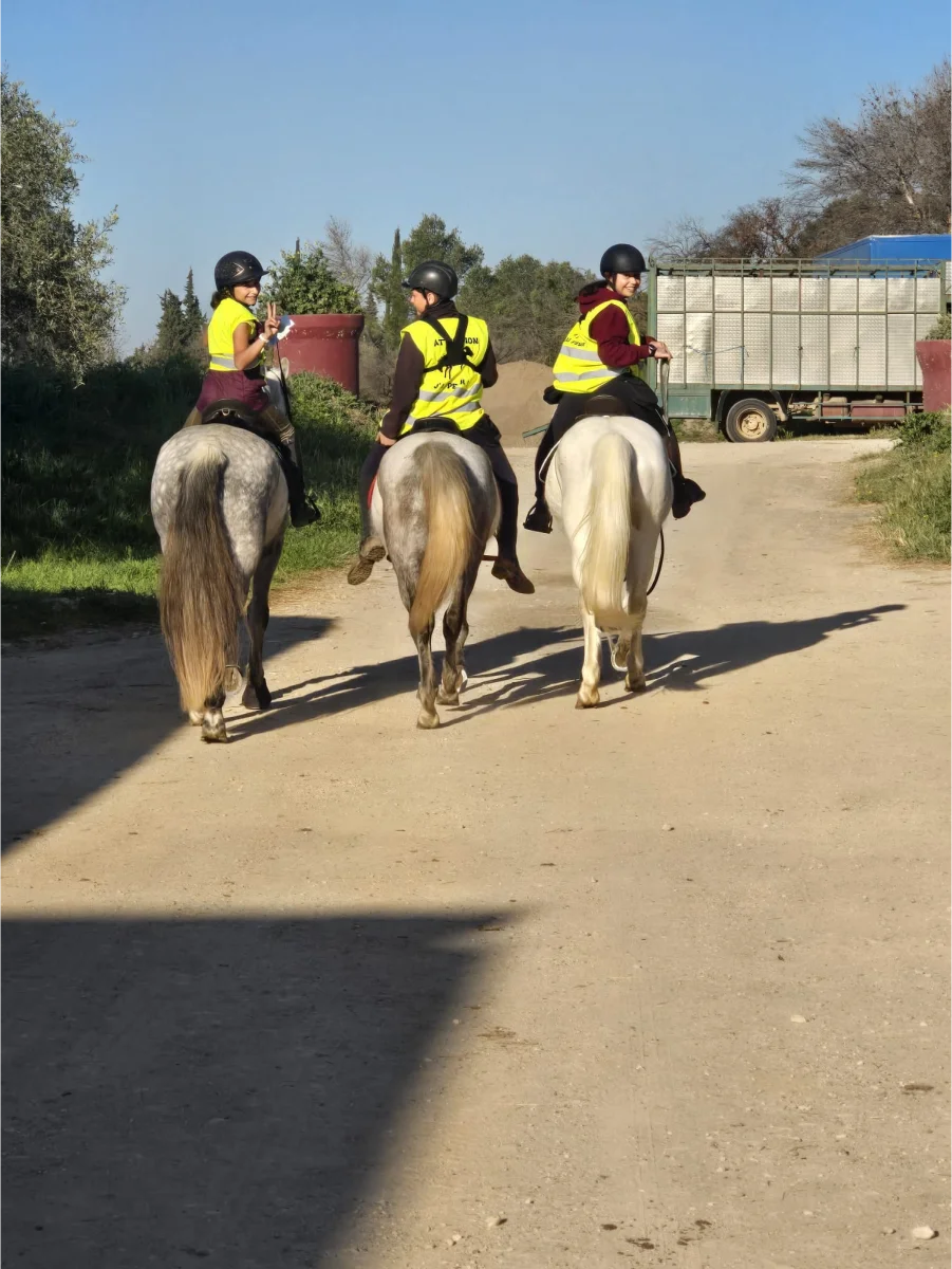 Ecurie Du Vieux Mas Stage D Equitation Saint Gilles Stage Dequitation 4