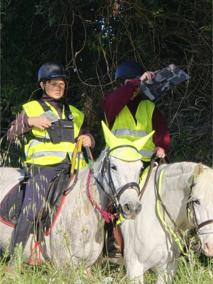Ecurie Du Vieux Mas Stage D Equitation Saint Gilles Stage Dequitation 5